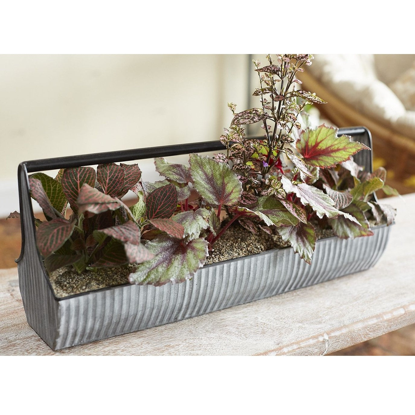 Galvanized Silver Trough Planter