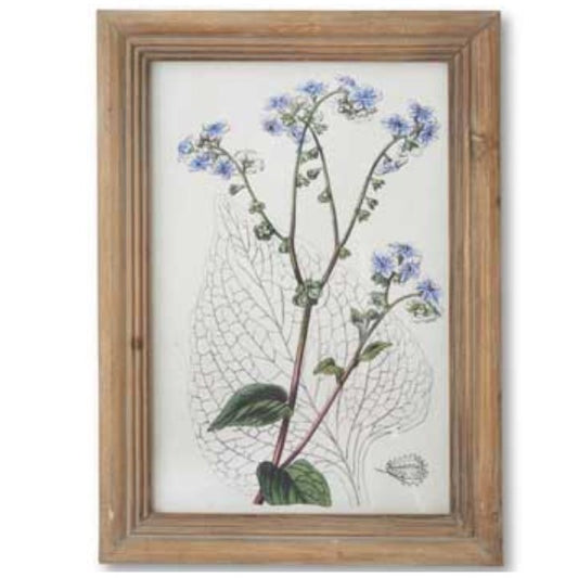 Flower Botanical Wall Art with Natural Frame (Blue Lacy)