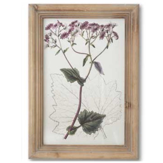 Flower Botanical Wall Art with Natural Frame (Purple Daisy)