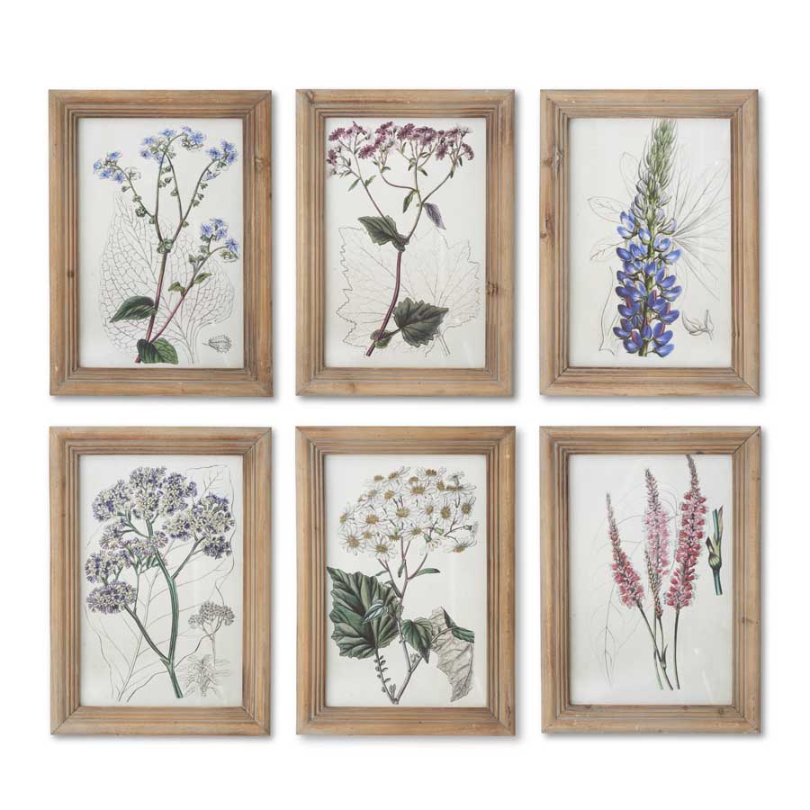 Flower Botanical Wall Art with Natural Frame (Blue Lacy)