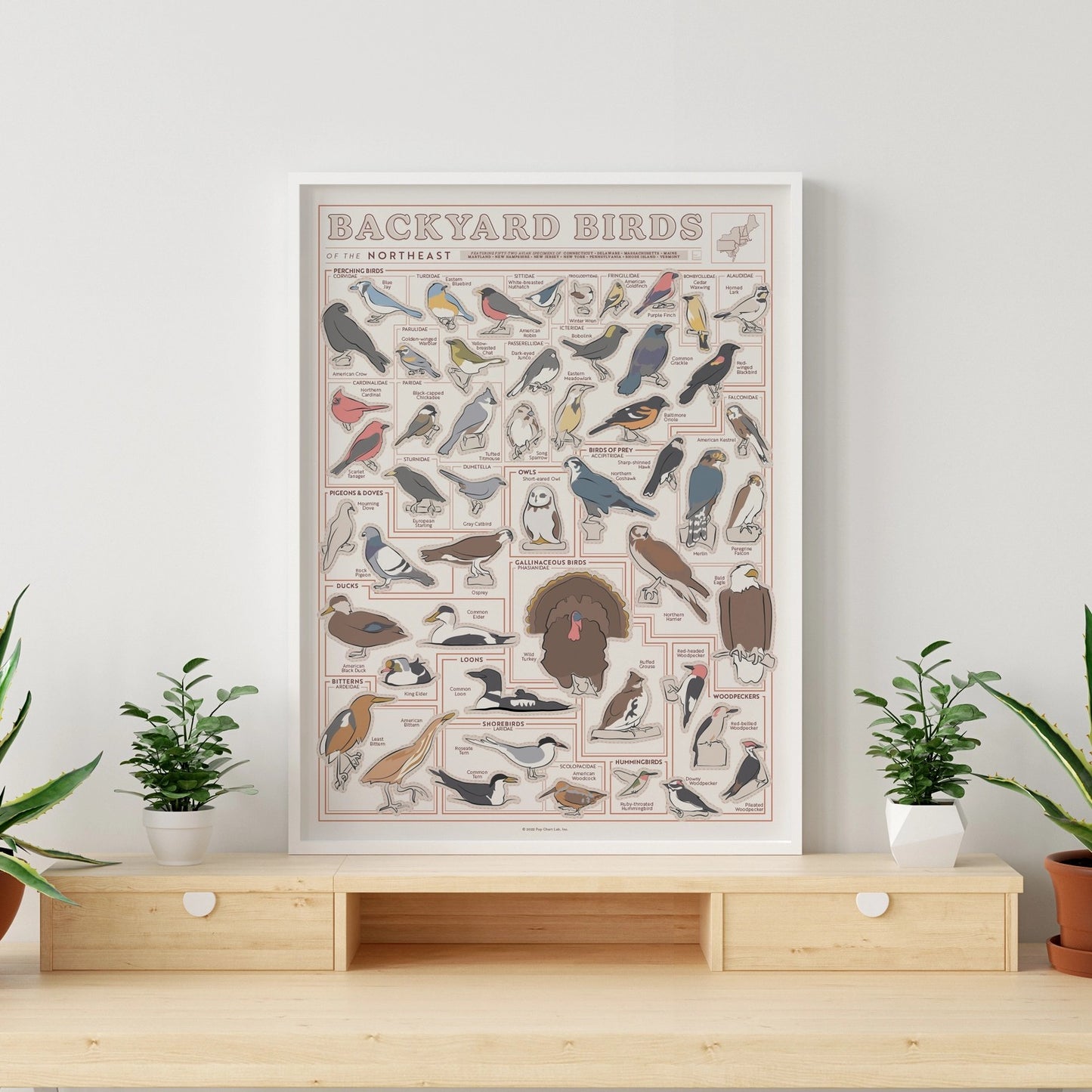 Backyard Birds of the Northeast Scratch-Off Chart - 12" X 16" Poster Print