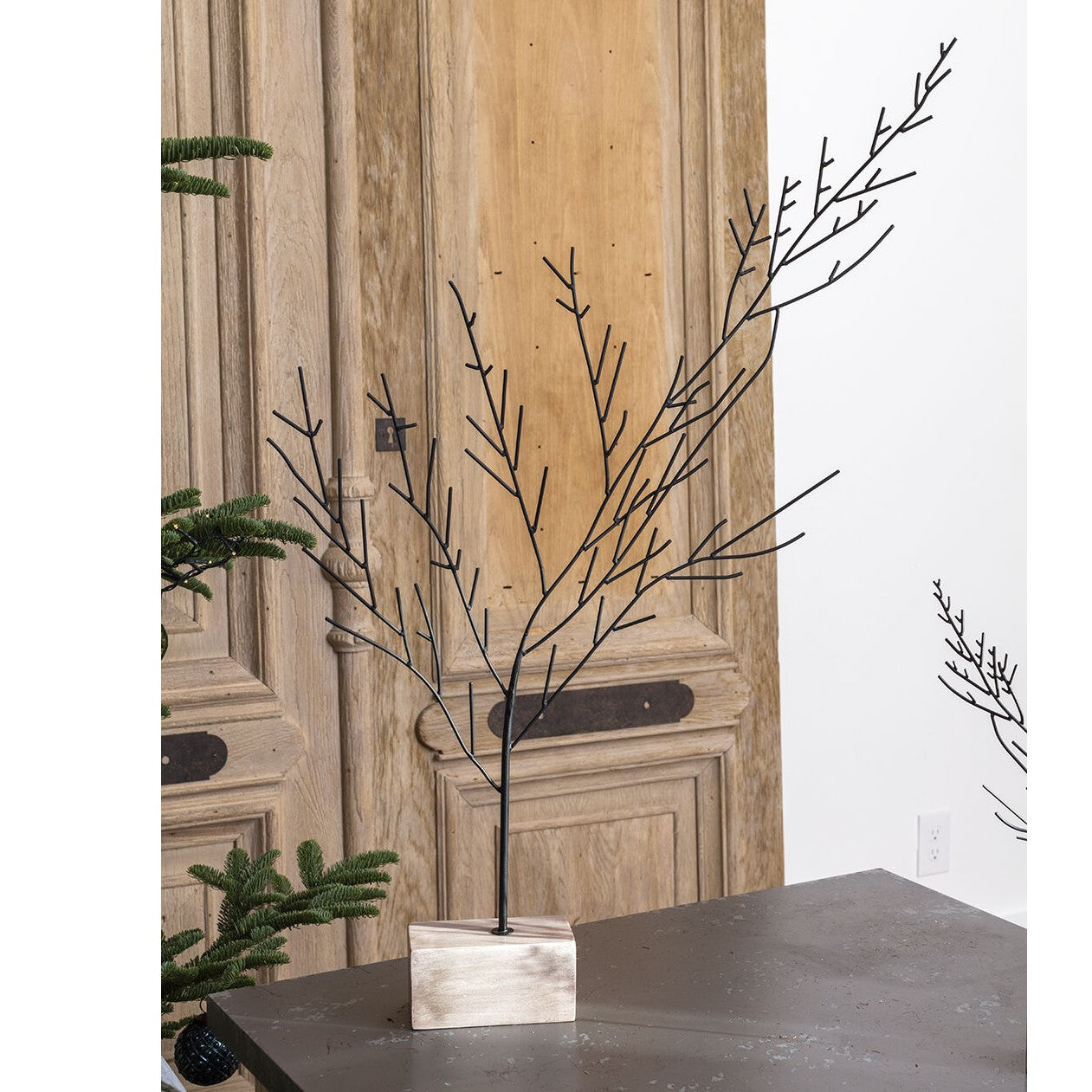 Buckthorne Tree (assorted sizes)