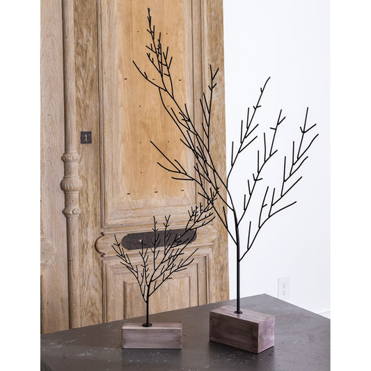 Buckthorne Tree (assorted sizes)