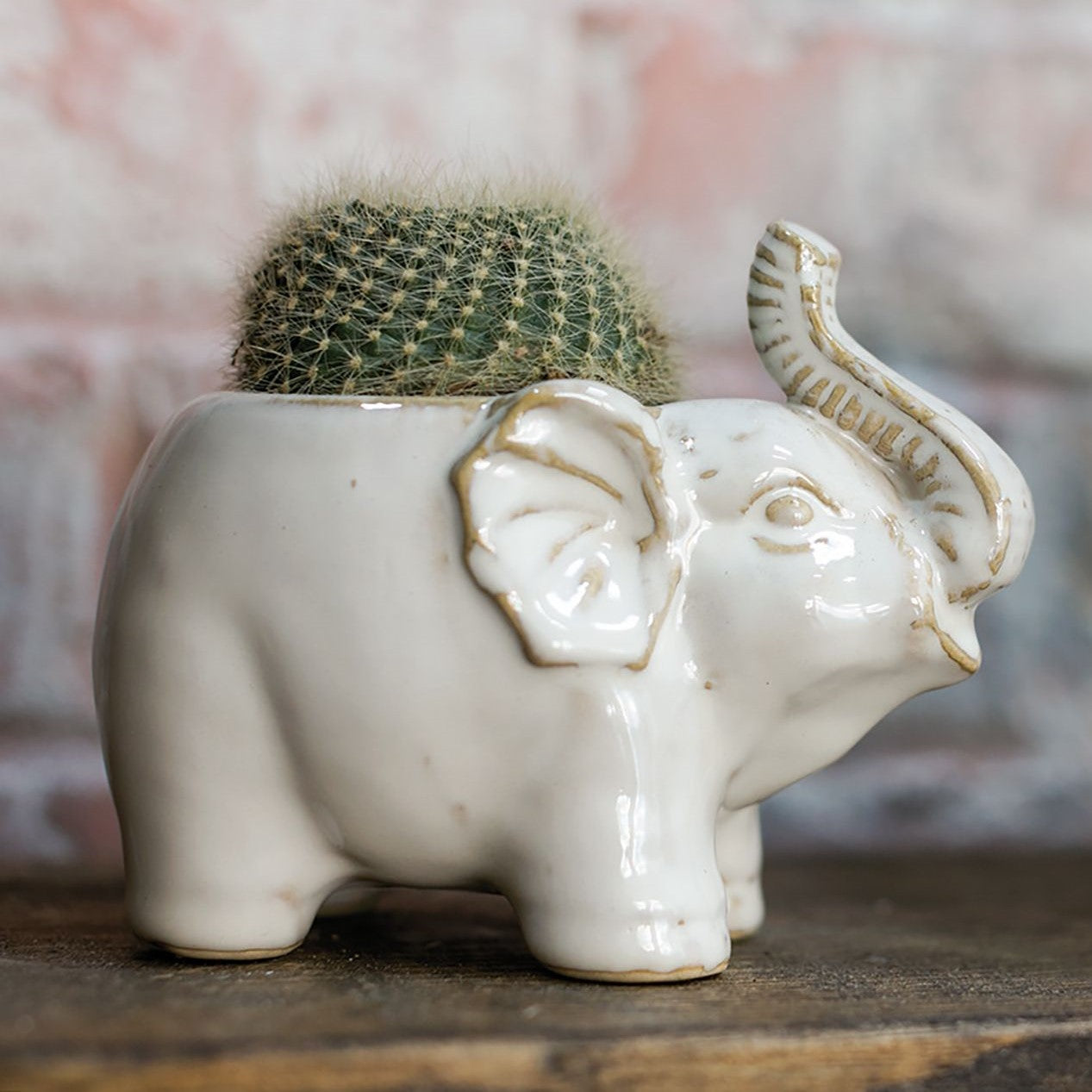 Ivory Elephant Ceramic Pot Planter (Small)