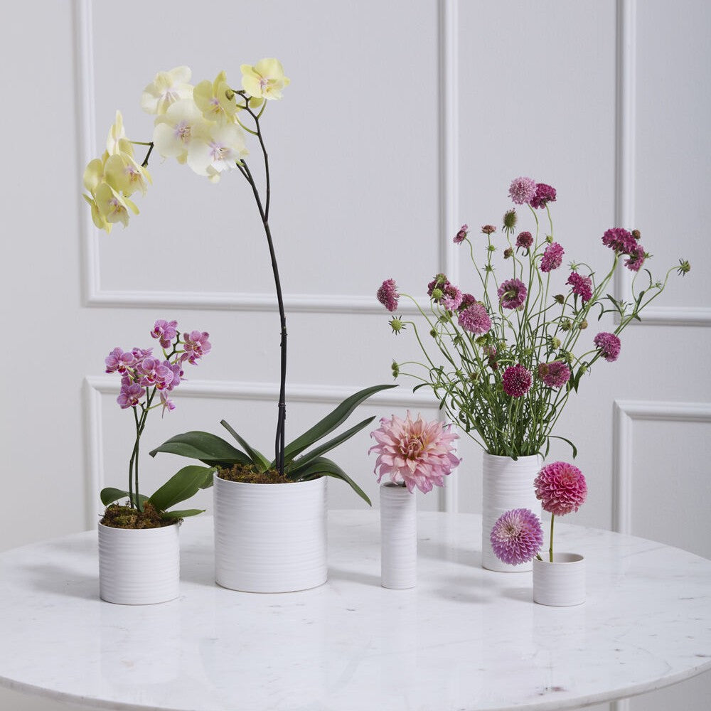 Striated White Modern Cylinder Budvase (Small)