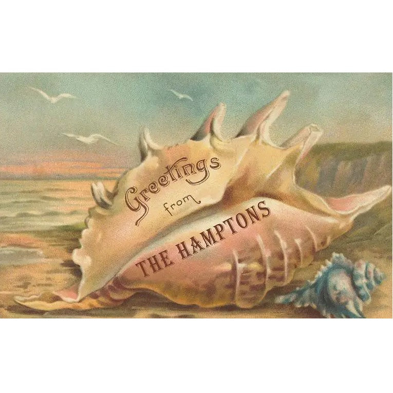 Greetings From the Hamptons Seashell, Long Island, New York (Postcard)