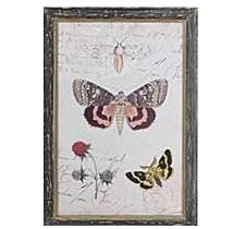 Nature Botanical Wall Art Collection - Centered Butterfly
