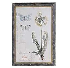 Nature Botanical Wall Art Collection - Stacked Double Butterfly