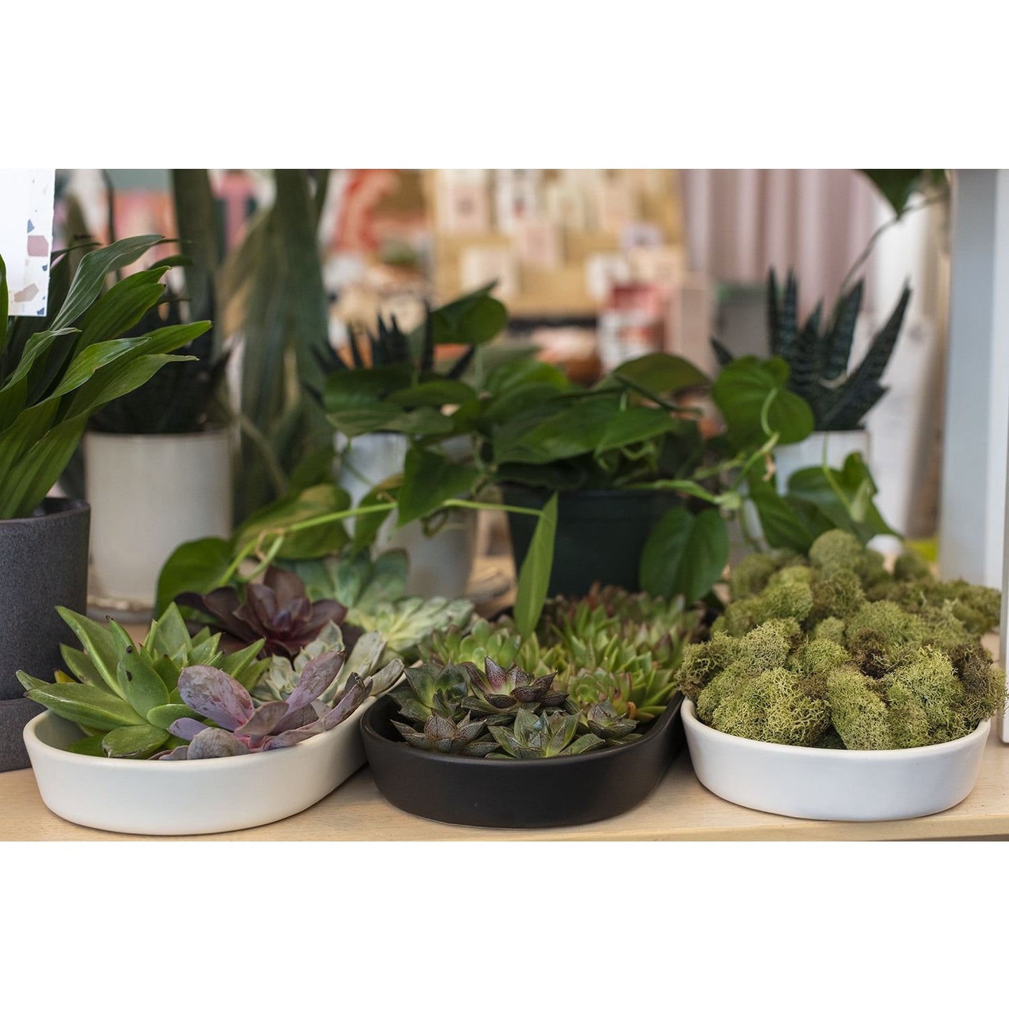 Oakley Plant Saucer (black)