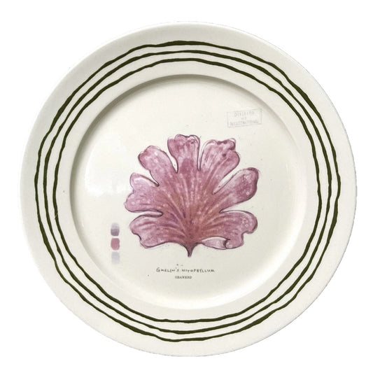Fleur de Sel Barnett Salad Plate - Red Coral