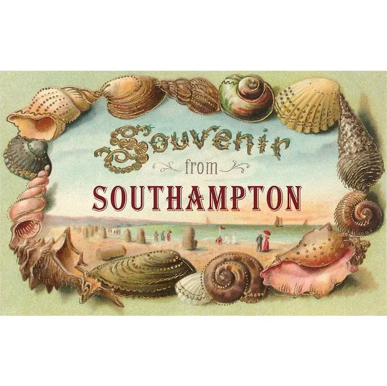 Souvenir From Southampton Seashell, Long Island, New York (Postcard)