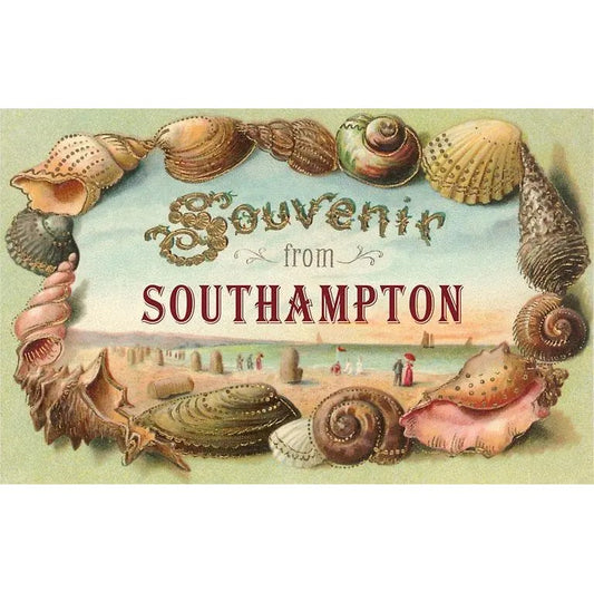 Souvenir From Southampton Seashell, Long Island, New York (Postcard)