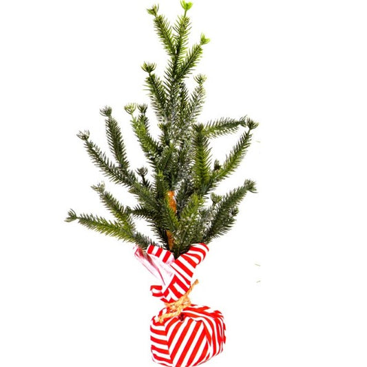 Mini Christmas Tree (iced)