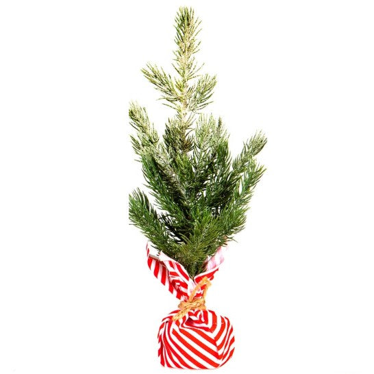 Mini Christmas Tree (glitter dust)