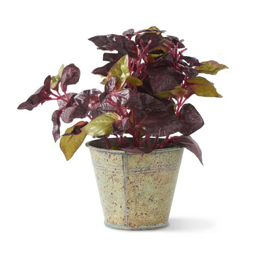 Potted Herbs In Metal Pot