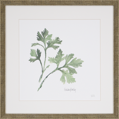 Herbs Framed Wall Art (Italian Parsley)