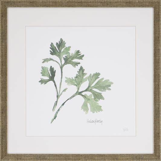 Herbs Framed Wall Art (Italian Parsley)