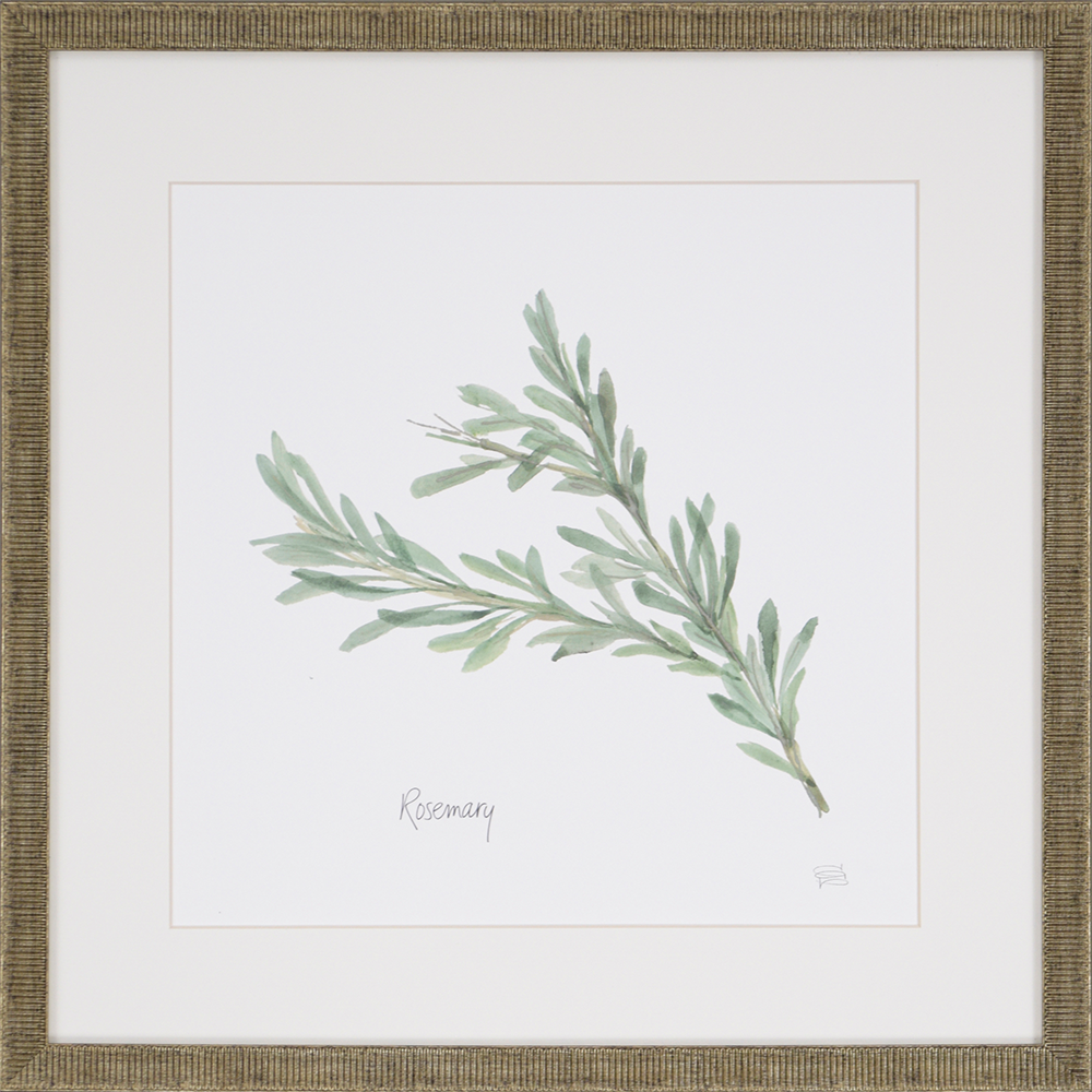 Herbs Framed Wall Art (Rosemary)