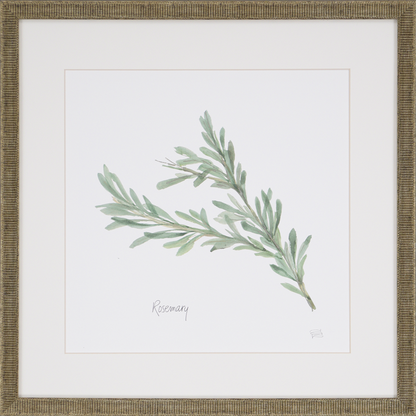 Herbs Framed Wall Art (Rosemary)