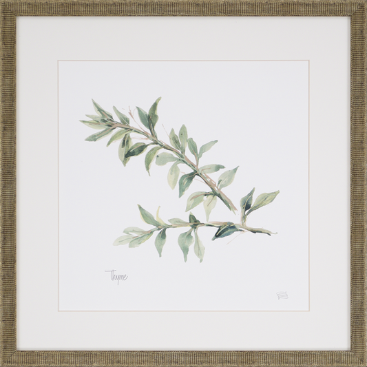 Herbs Framed Wall Art (Thyme)