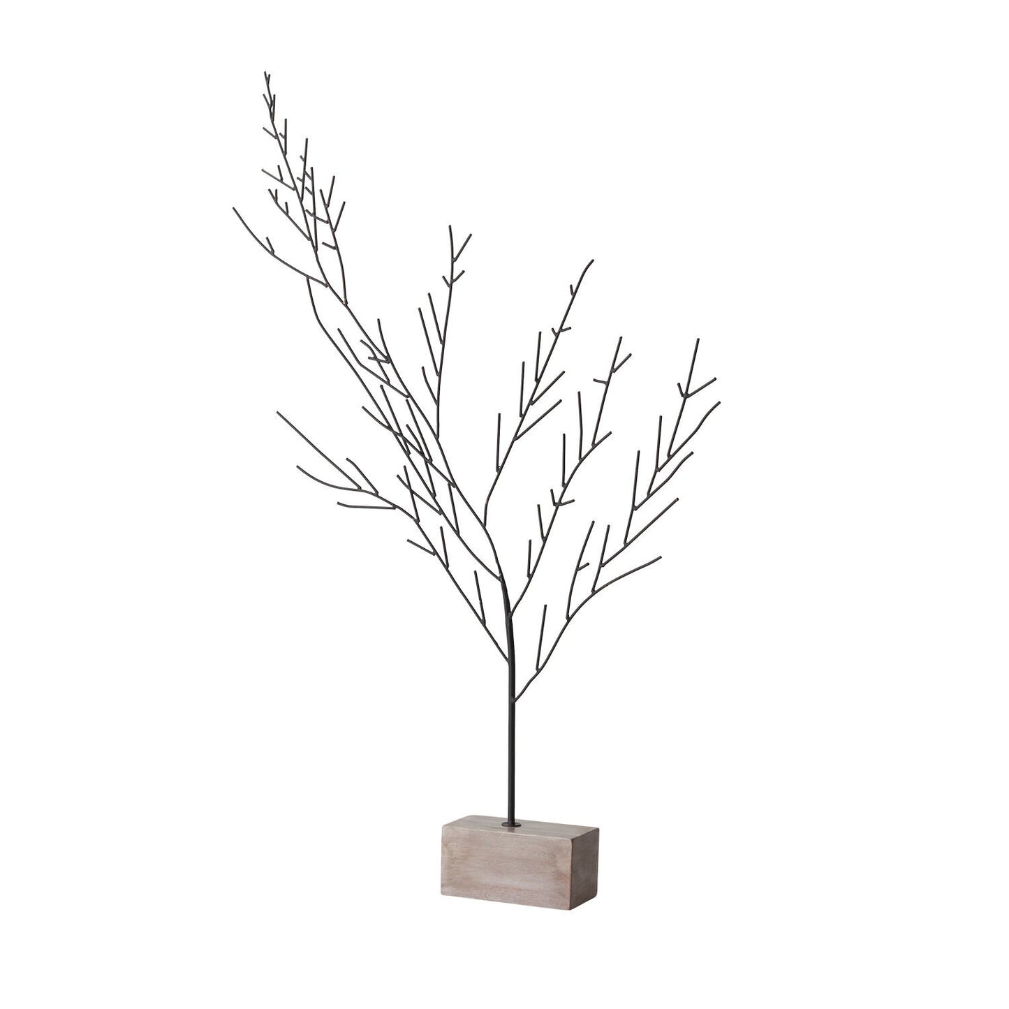 Buckthorne Tree (assorted sizes)