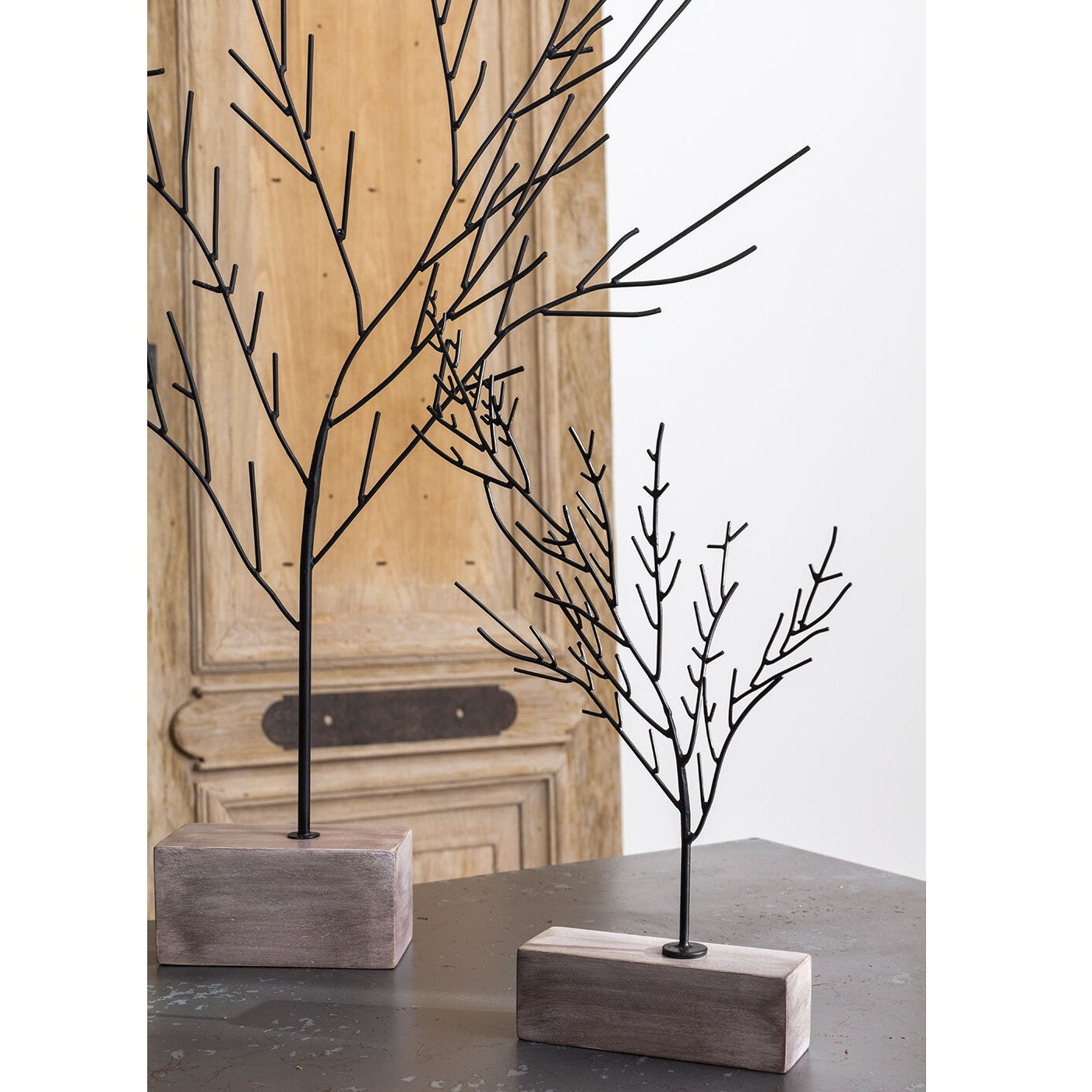 Buckthorne Tree (assorted sizes)