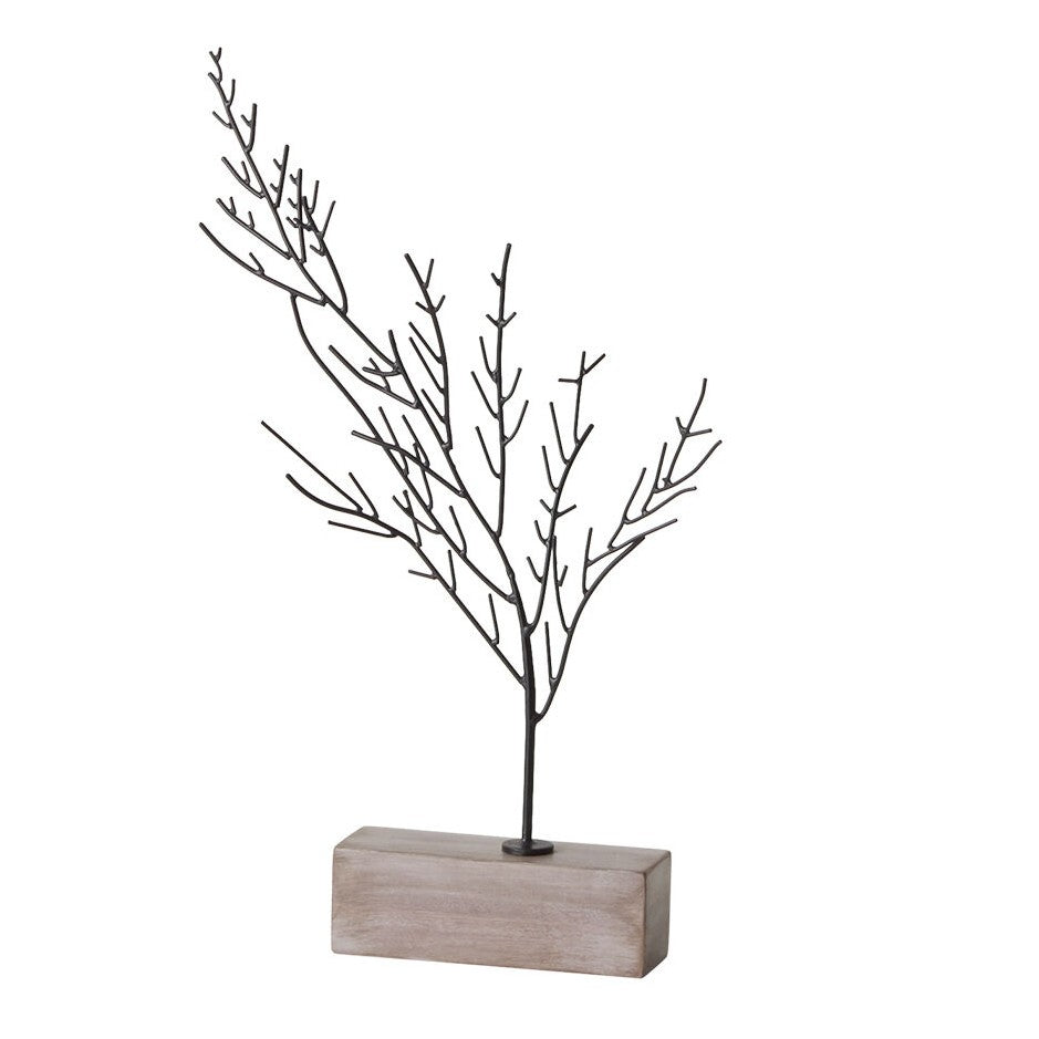 Buckthorne Tree (assorted sizes)