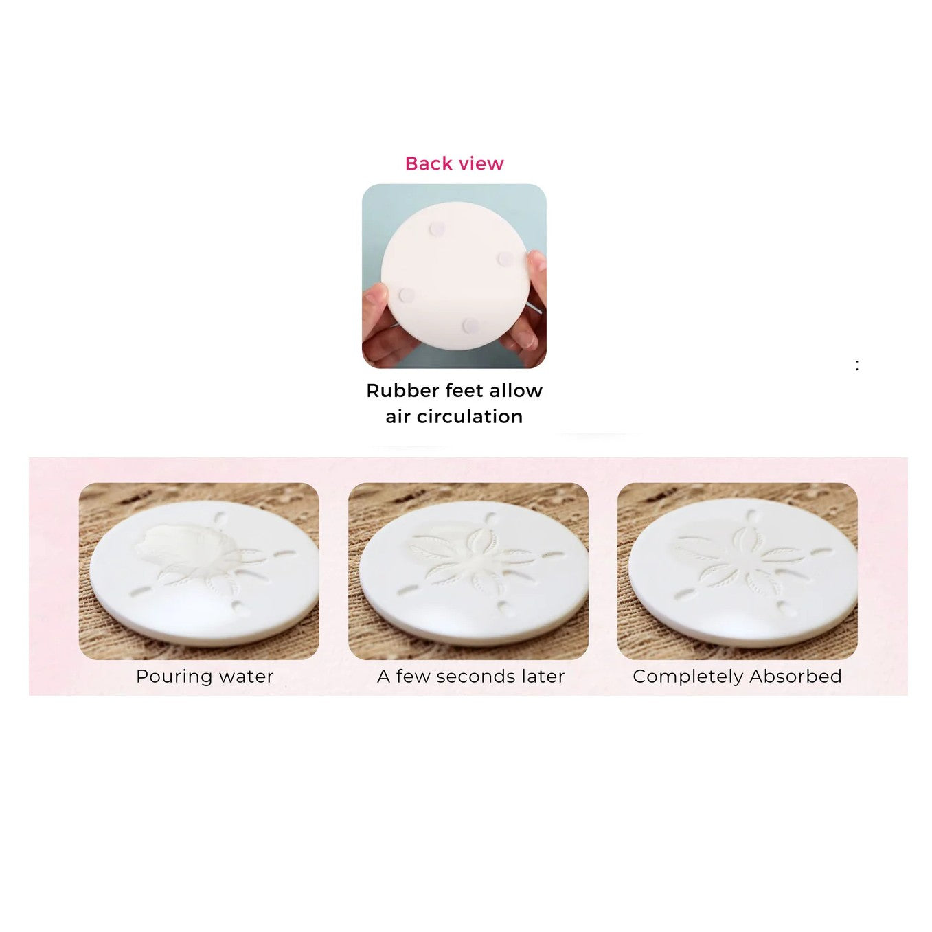 Sand Dollar Absorbent Coaster