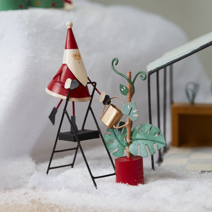 Gardener Santa:  Monstera Plant Care