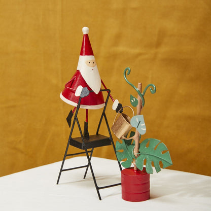 Gardener Santa:  Monstera Plant Care