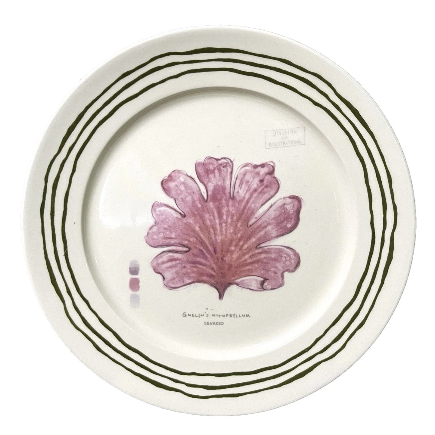 Fleur de Sel Barnett Salad Plate - Red Coral