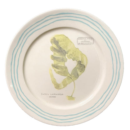 Fleur de Sel Barnett Salad Plate - Green Plant