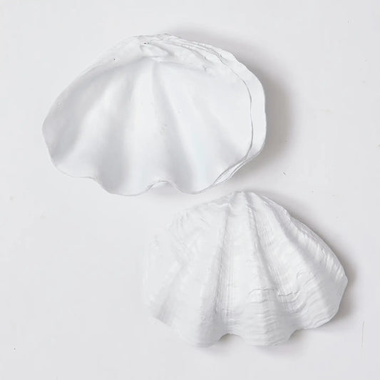 Clam Shell Decorative Bowl