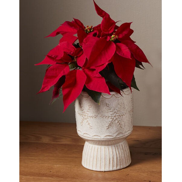 Snowflurry Snowflake Footed Pot Planter