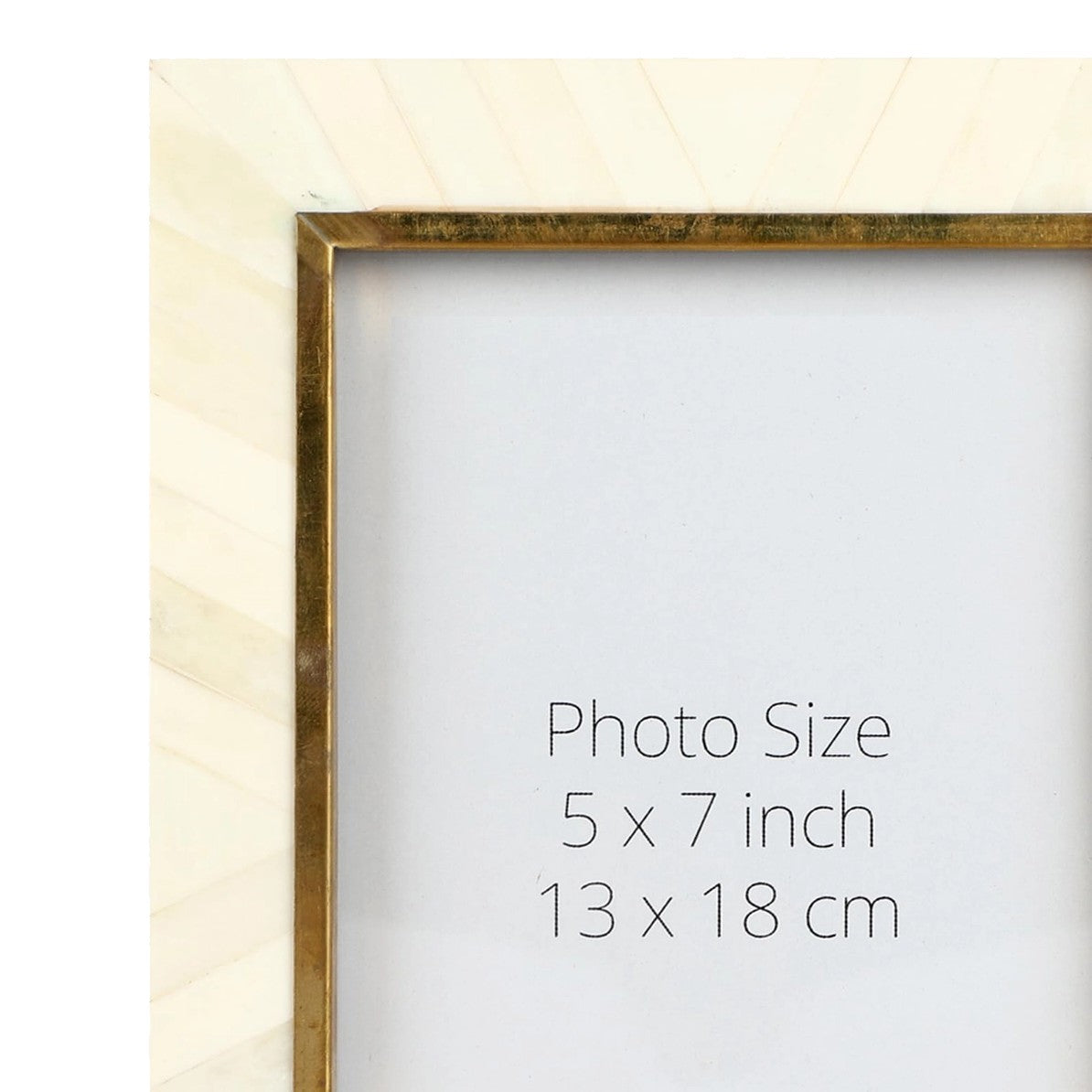 Handcrafted Bone Inlay & Brass Picture Frame (4x6, 5x7 Inches)